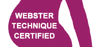 Webster Technique White Logo