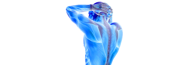 Chiropractic Vadnais Heights MN INSiGHT Scans Chiropractic Vadnais Heights MN INSiGHT Scans