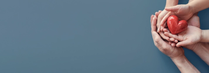 Chiropractic Vadnais Heights MN Hands With Heart